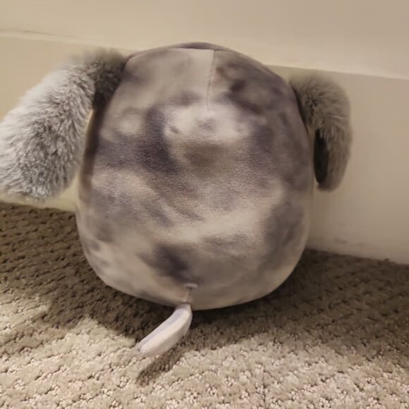 Squishmallow puppy - Picture 3 of 7